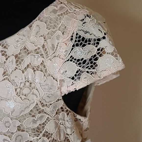 PERCEPTIONS New York Blush Nude Lace Sheath Dress Perite L nwt - Picture 3 of 9